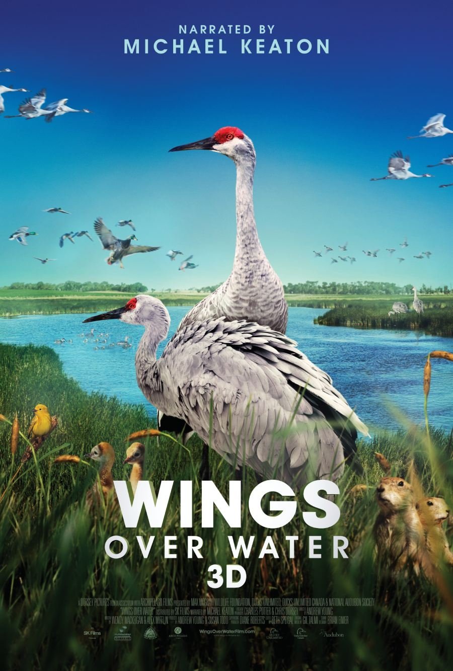 Постер Wings Over Water